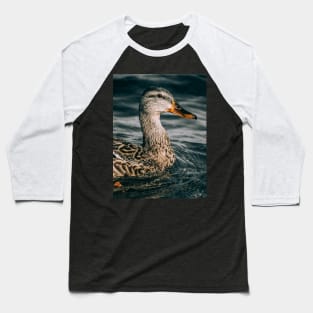 Female Mallard Duck, Embraces the Freezing Water Photograph Baseball T-Shirt